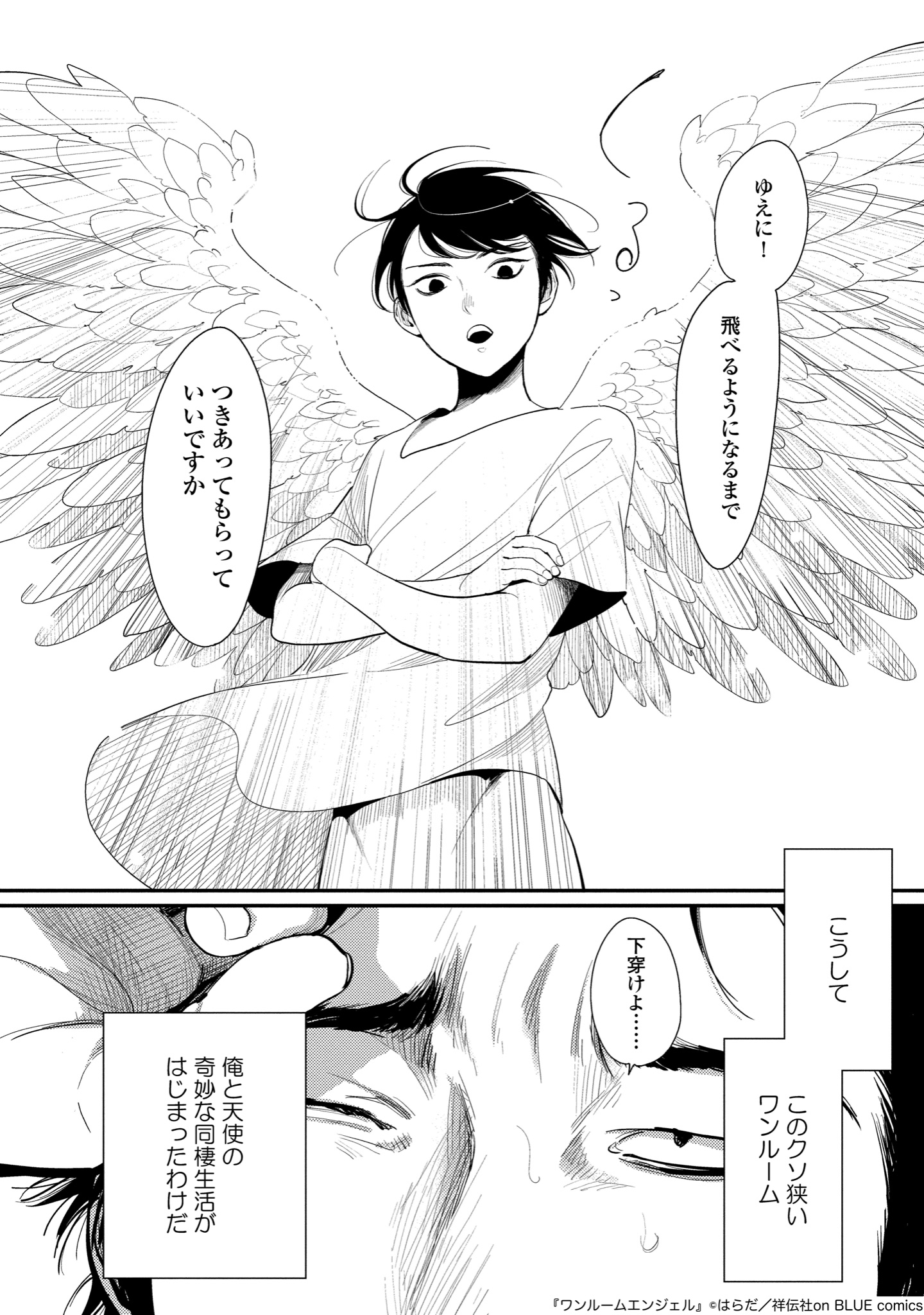 Japanese Yaoi BL Manga Comic Book / HARADA 'One Room Angel' はらだ ワンルームエンジェル