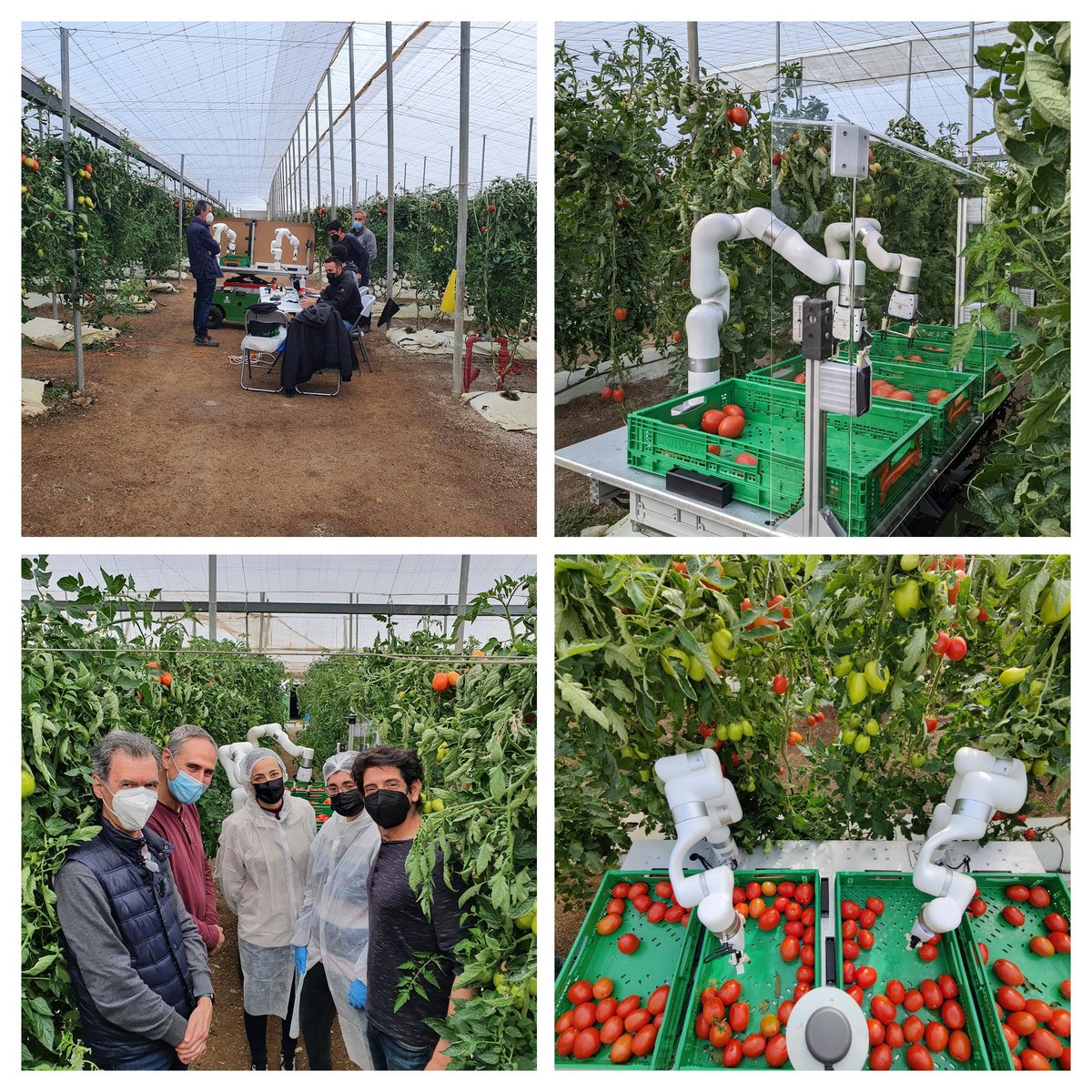 And it's a wrap! Some pictures from our <a href="/agROBOfood/">agROBOfood</a> industrial experiment in Murcia region of Spain. Thank you very much #Perichan and <a href="/CTTecnova/">CT Tecnova</a> for your support and insights during the tests.
One more step closer to a commercial harvester payload 🦾