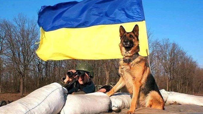 🐕✌🇺🇦 
#StandWithUkraine #Kyiv #StopRussia