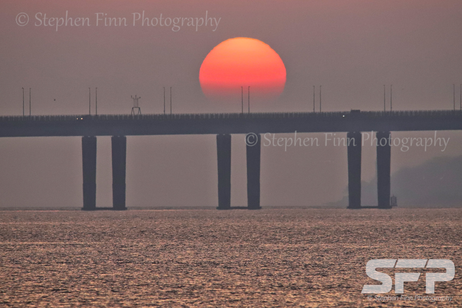 Stephen Finn Photography tweet media