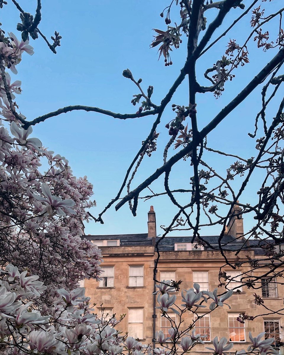 Probably my favourite of all the signs of spring 🌸
#magnolia #spring #visitbath