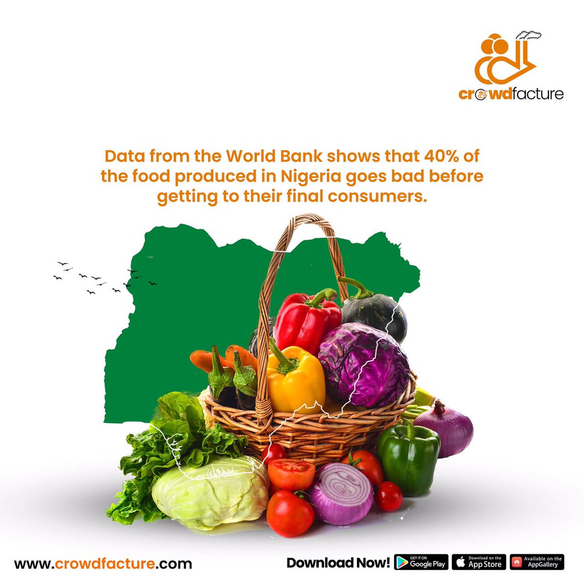 Crowdfacture's tweet photo. Did you know? 

Despite the huge food inflation, the World Bank explains that 40% of agricultural produce gets bad before getting to their final consumers.

Join Crowdfacture today to leverage the power of tech and community in food preservation and processing. 

#crowdfacture https://t.co/oogST2gl9i