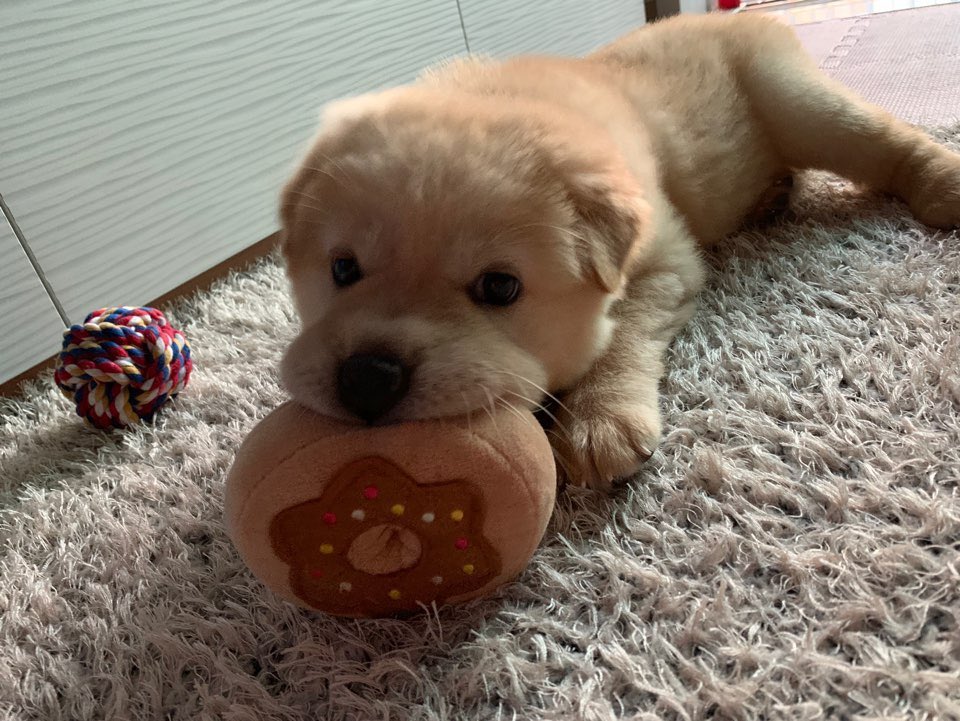 동생이 보내준 옛날 사진ㅋㅋㅋ너무 사랑스러워😍