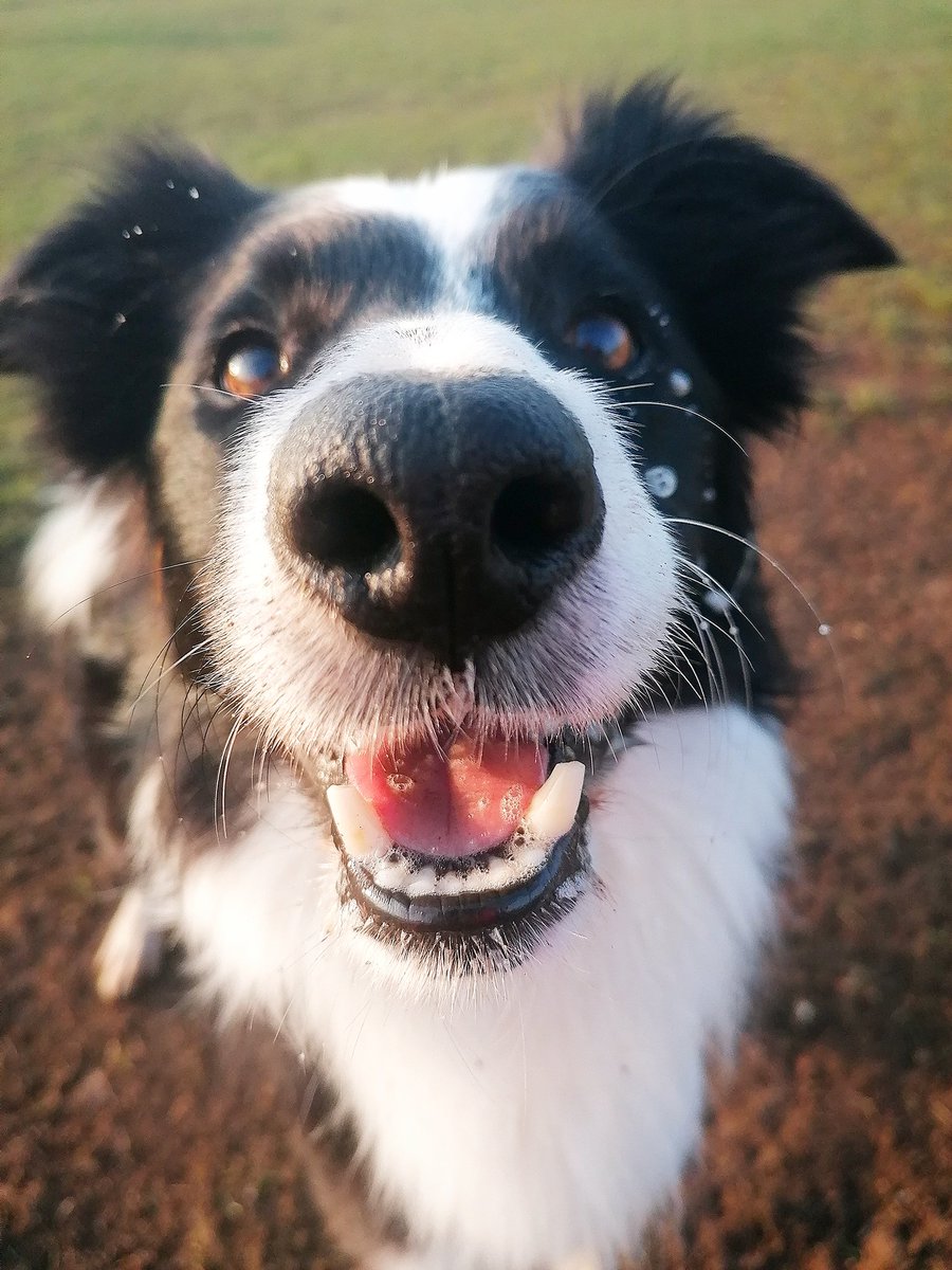 wilsontracey87's tweet photo. boop anyone?? 🤣🤣🤣 https://t.co/4wgQg6fnYz