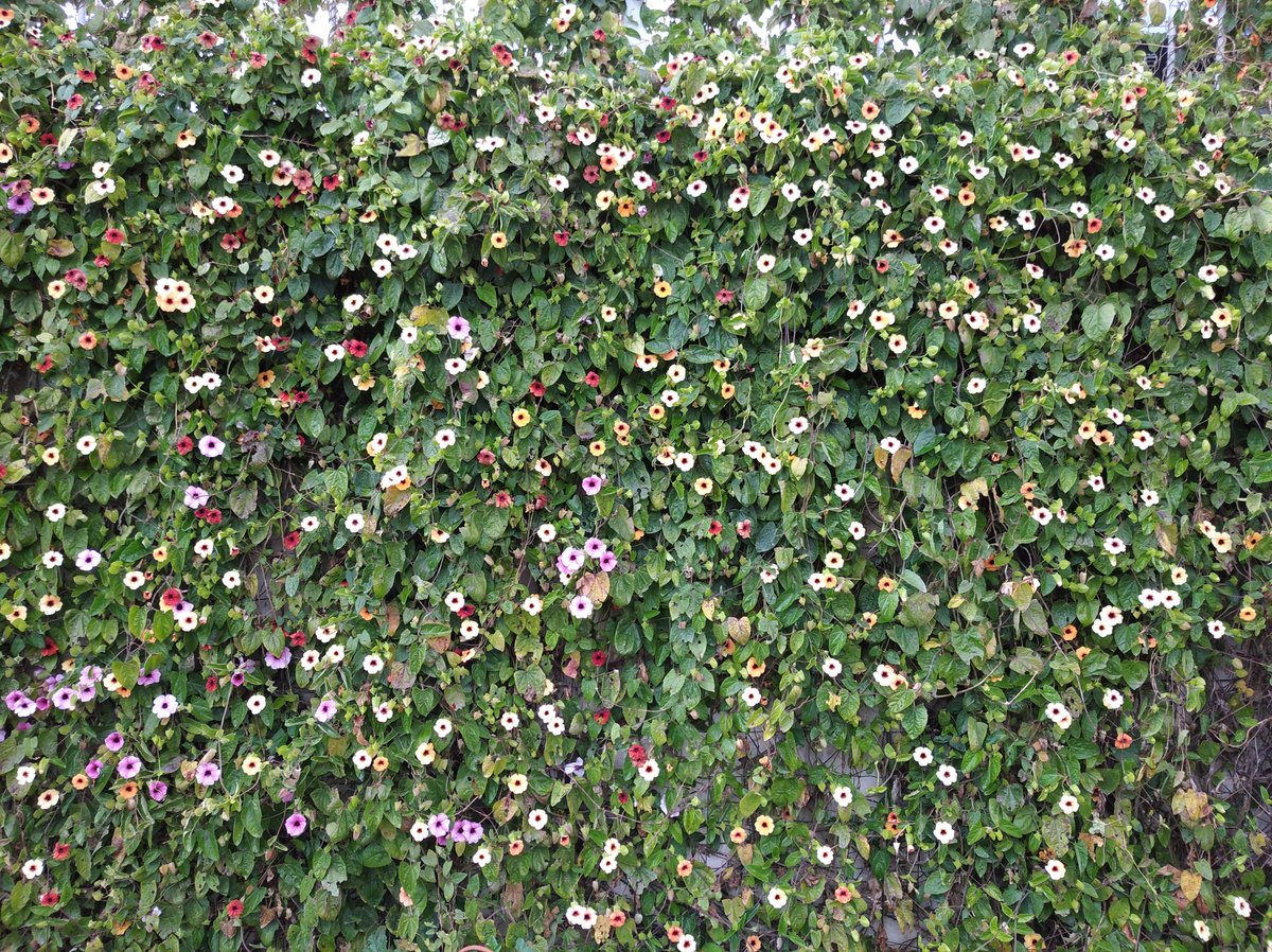 🎗️לא משה ולא אחיך🎗️ tweet media