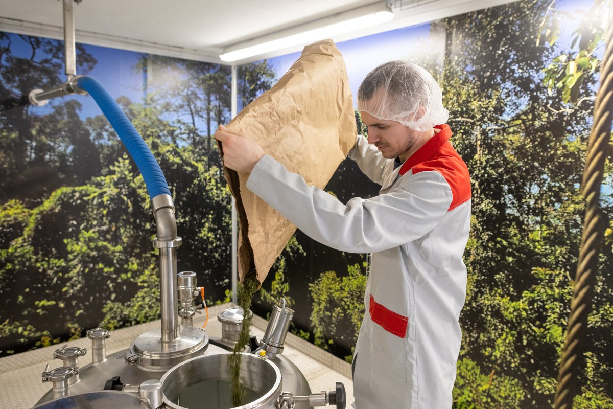 ENERTEA by Rivella combine des plantes caféinées d'Amérique du Sud et des herbes alpines suisses. Développé et produit par nos employés à Rothrist. Plus d'informations: enerteabyrivella.ch/fr/ #rivella #enertea