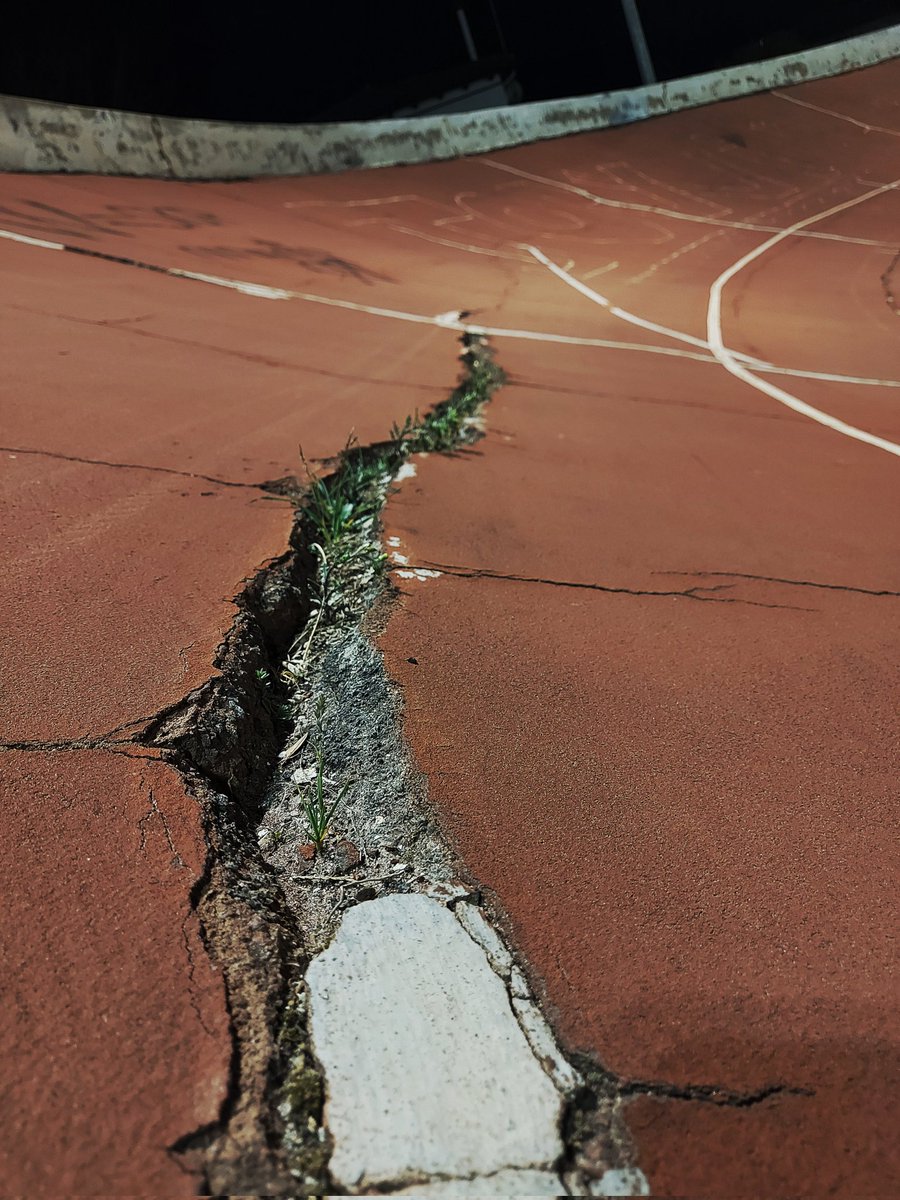 CLleidata's tweet photo. @escolaciclista1 @paerialleida @esports_lleida @ignasiamor @velodrom_lleida @SEGREcom Això sempre ha passa't a Lleida! Es te que fomentar més els esports minoritaris @paerialleida @esports_lleida mireu-vos la pista del velòdrom Municipal de Lleida com està 😰 #lleida #ciclismelleida . https://t.co/GXwxuJLcxu