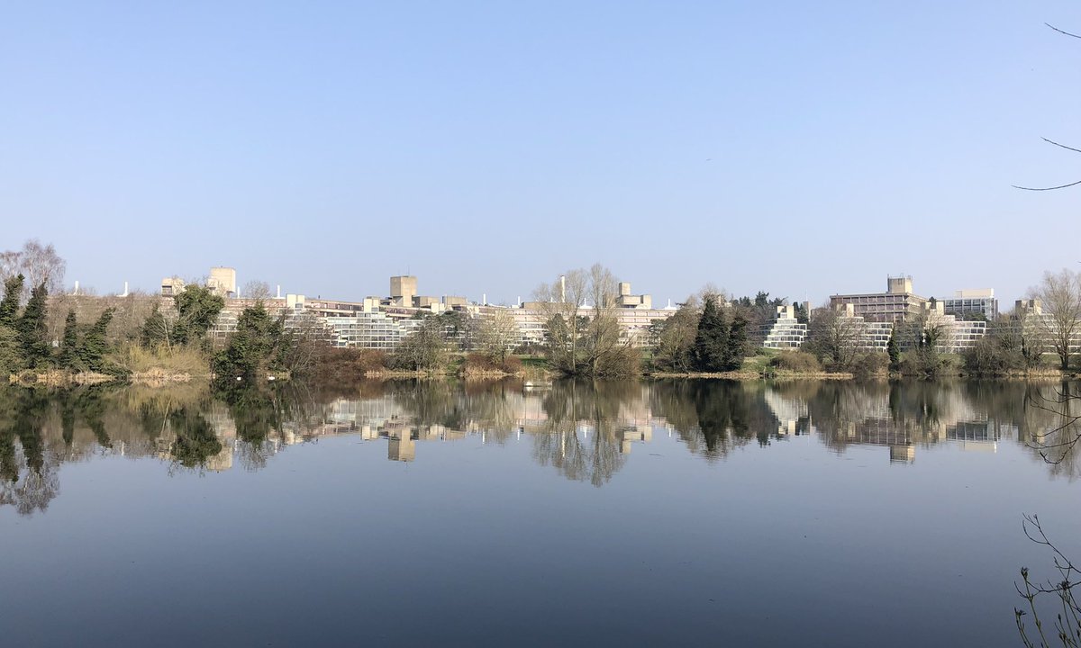 Jabbafish's tweet photo. A beautiful misty morning before starting work and a lovely still broad.. #uea #biouea https://t.co/KBQF1rCR81