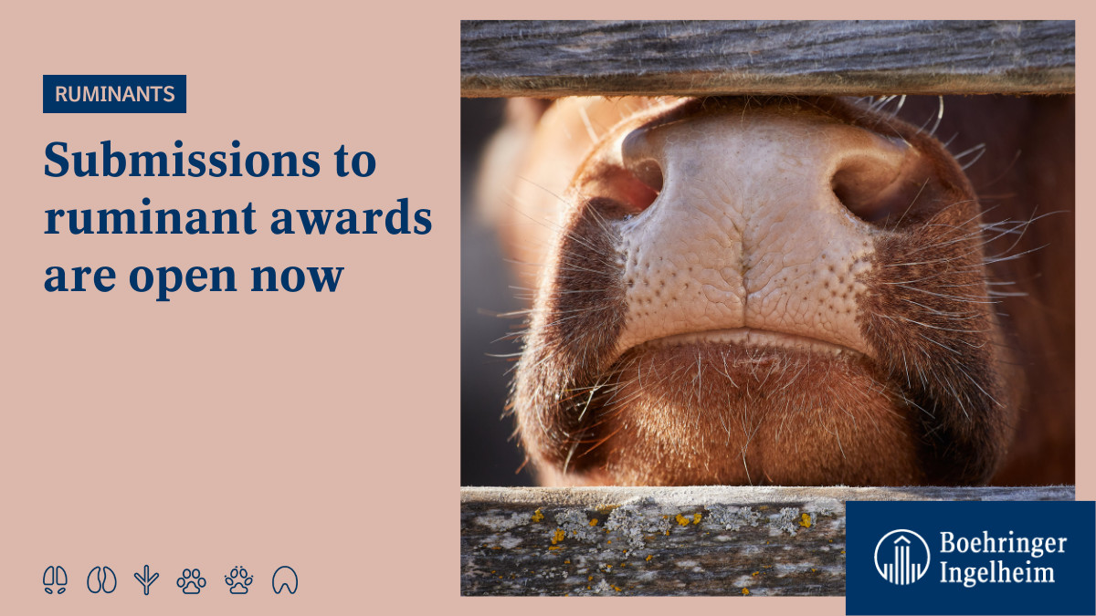 Boehringer_AH's tweet photo. Awarding outstanding research: Weโre searching for young scientists, researchers, and veterinarians and their #research on #ruminant health and well-being. How to apply? Find out here โก๏ธ https://t.co/UCL1rfxCx4 #CattleFirst https://t.co/K5PzDwZOC3