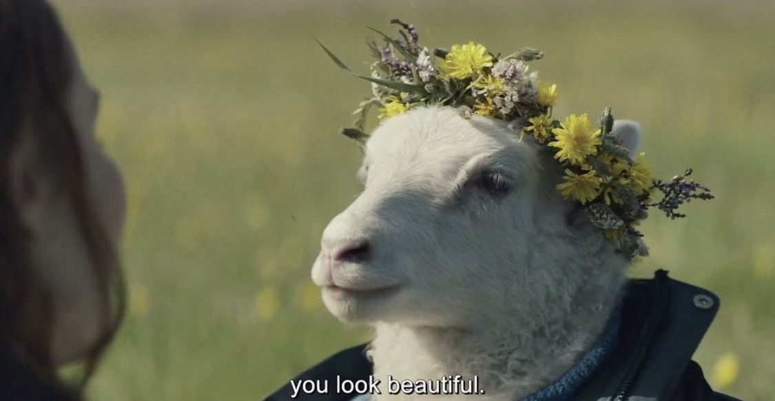 ArtIsTheDrug's tweet photo. How I looked at my dinner tonight after not having had meat for a year. https://t.co/ZD5rSDrhZc