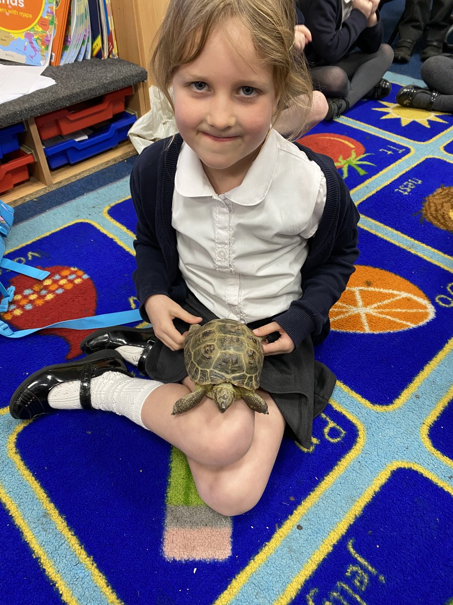 FeckenhamSchool's tweet photo. This week 'Ted the tortoise' came to visit Doves class. The children learnt about how to care for tortoises, and Ted loved exploring our carpet area! #tortoise #caringforpets 🐢💚 https://t.co/ngNjpE6IRg