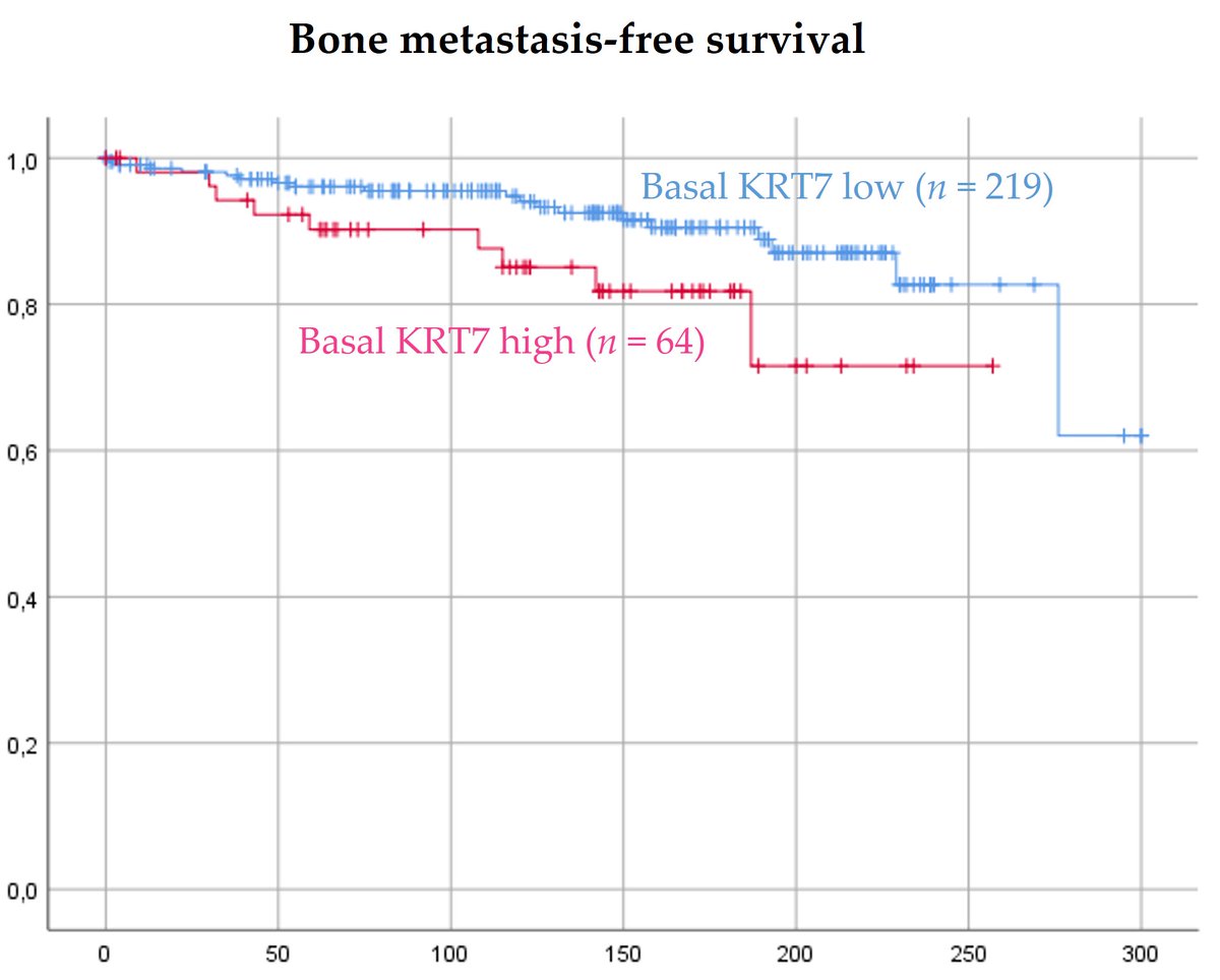 Cancers_MDPI's tweet photo. 🧐In a fruitful collaborative work with Fred Saad lab @CRCHUM @CharlesDariane MD-urologist @HopitalPompidou and PhD Student in @GOFFINVincent2 @NeckerInem identifies keratin-7 as a promising predictive biomarker of #ProstateCancer specific Survival!

Link➡️https://t.co/dabCVRLWWC https://t.co/ivEXbq3gEH