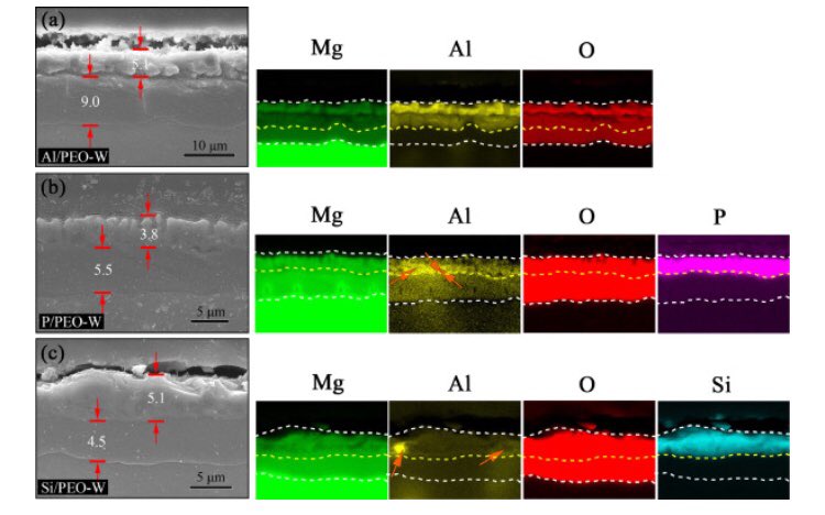 In-situ LDHs growth on PEO coatings on AZ31 magnesium #alloy for active protection: Roles of PEO composition and conversion solution sciencedirect.com/science/articl…