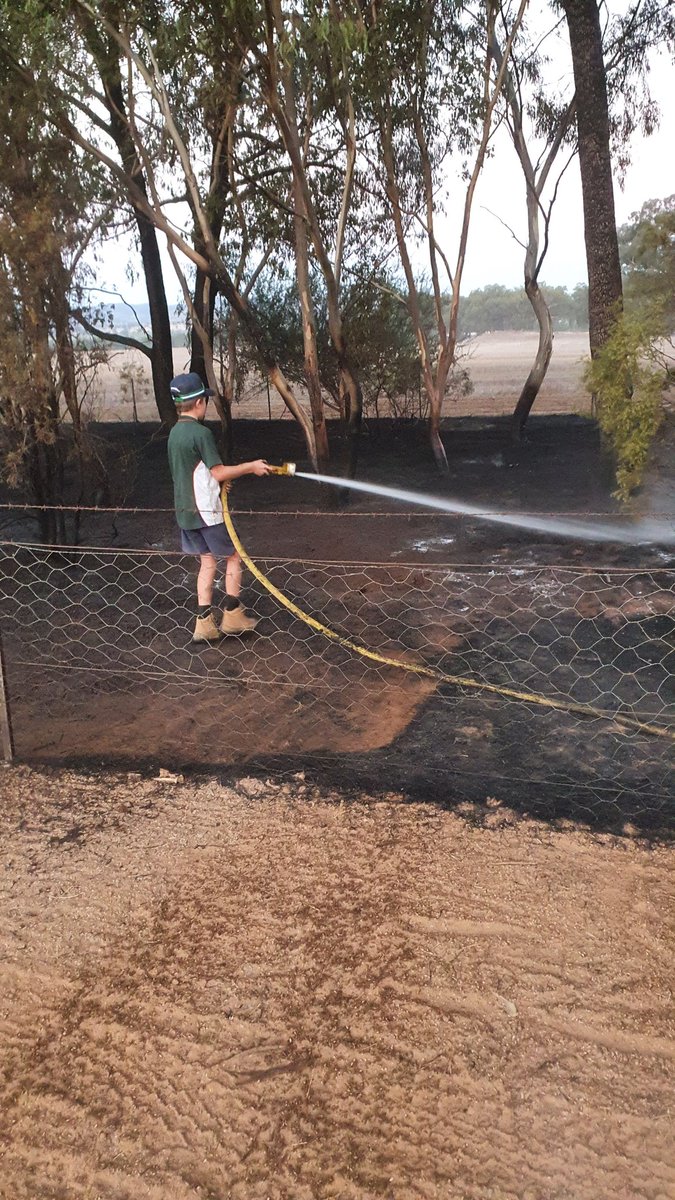 James Brady. 🇦🇺🤔👨‍🌾 tweet media