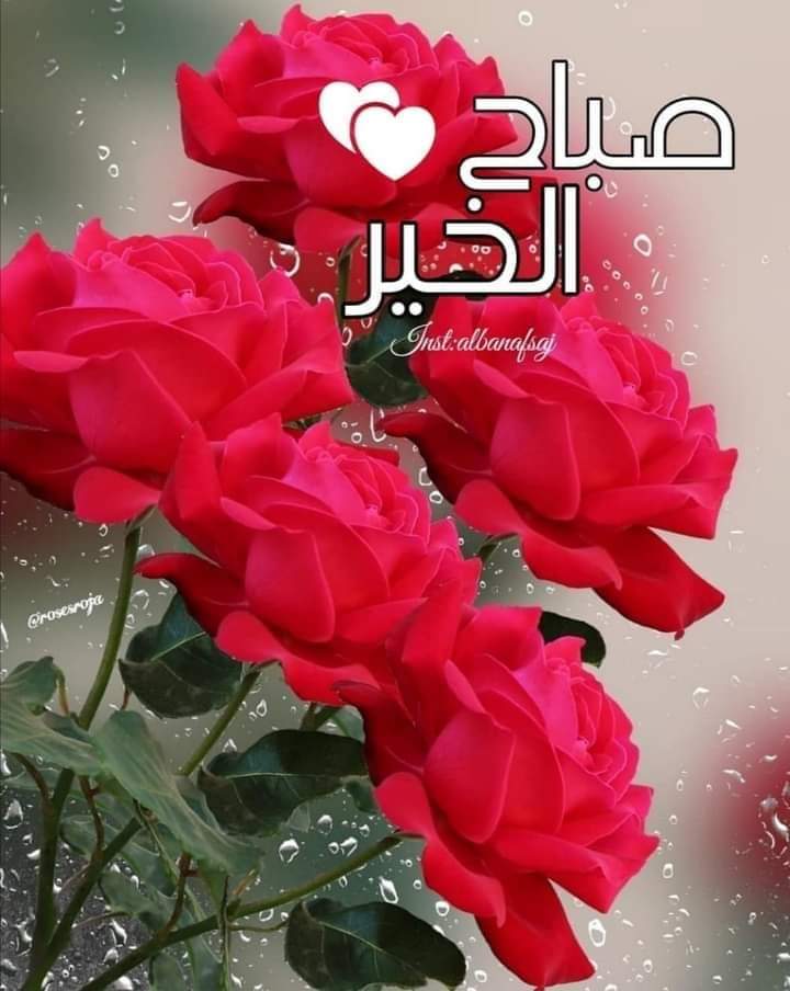 صباح الخير على الشعب المصري المعرض جبت اخرك والا لسه