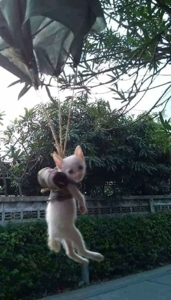 Catching my balls all day. Better run away.