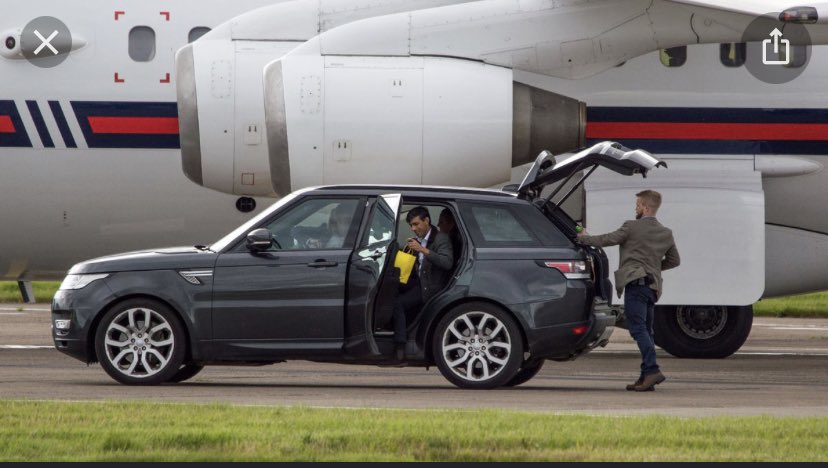 lucy siegle tweet media