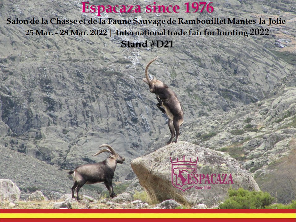 Venez nous voir au salon de la chasse á Rambouillet!!  On vous attend au stand nº D21! #espacaza #sialacaza #caza #hunt #cazayconservación #jagd #chasse #grandslamspanishibex #monterias #rehalas #perrodecaza #salondelachassederambouillet <a href="/salonchasse/">Salon de la Chasse</a>