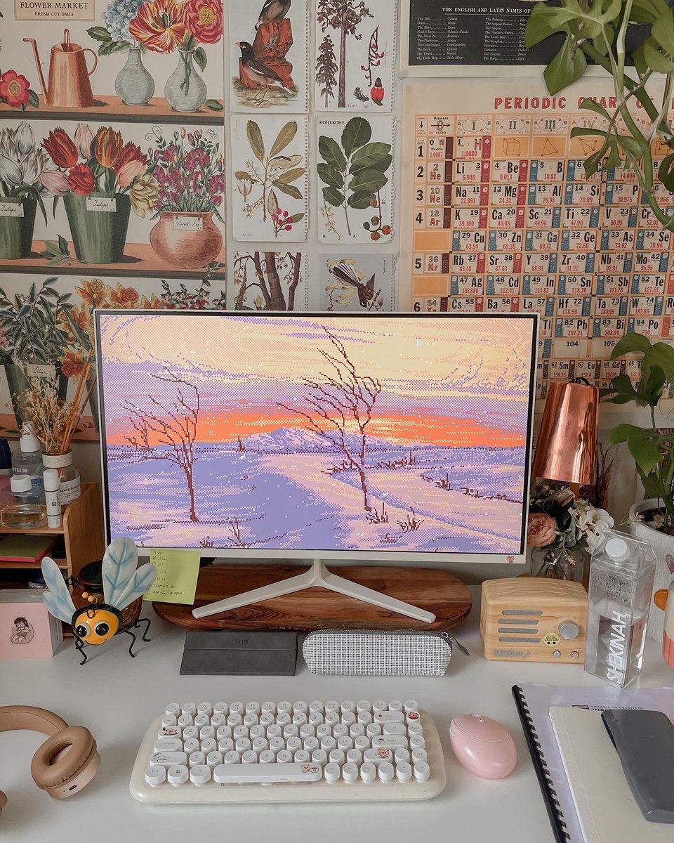 Shekinah Glory 🐻 tweet media