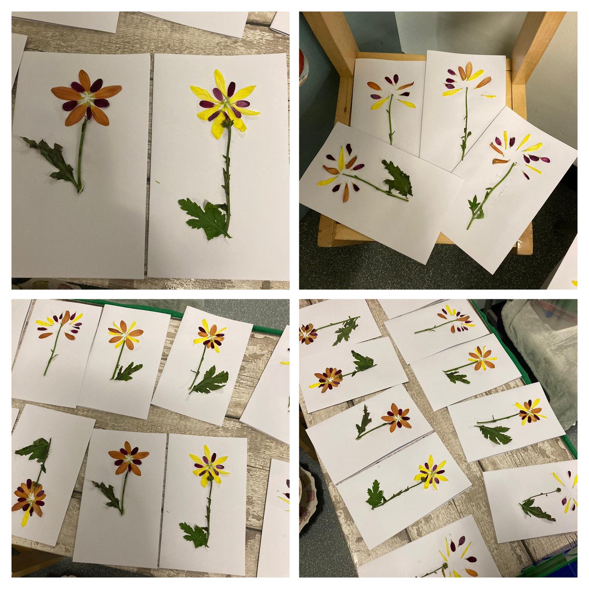 michell41904044's tweet photo. Year 2 Gwyrdd have been busy making Mother's Day cards for the special lady in their lives - keeping it real with cut flowers. https://t.co/EEKCOOdp7H