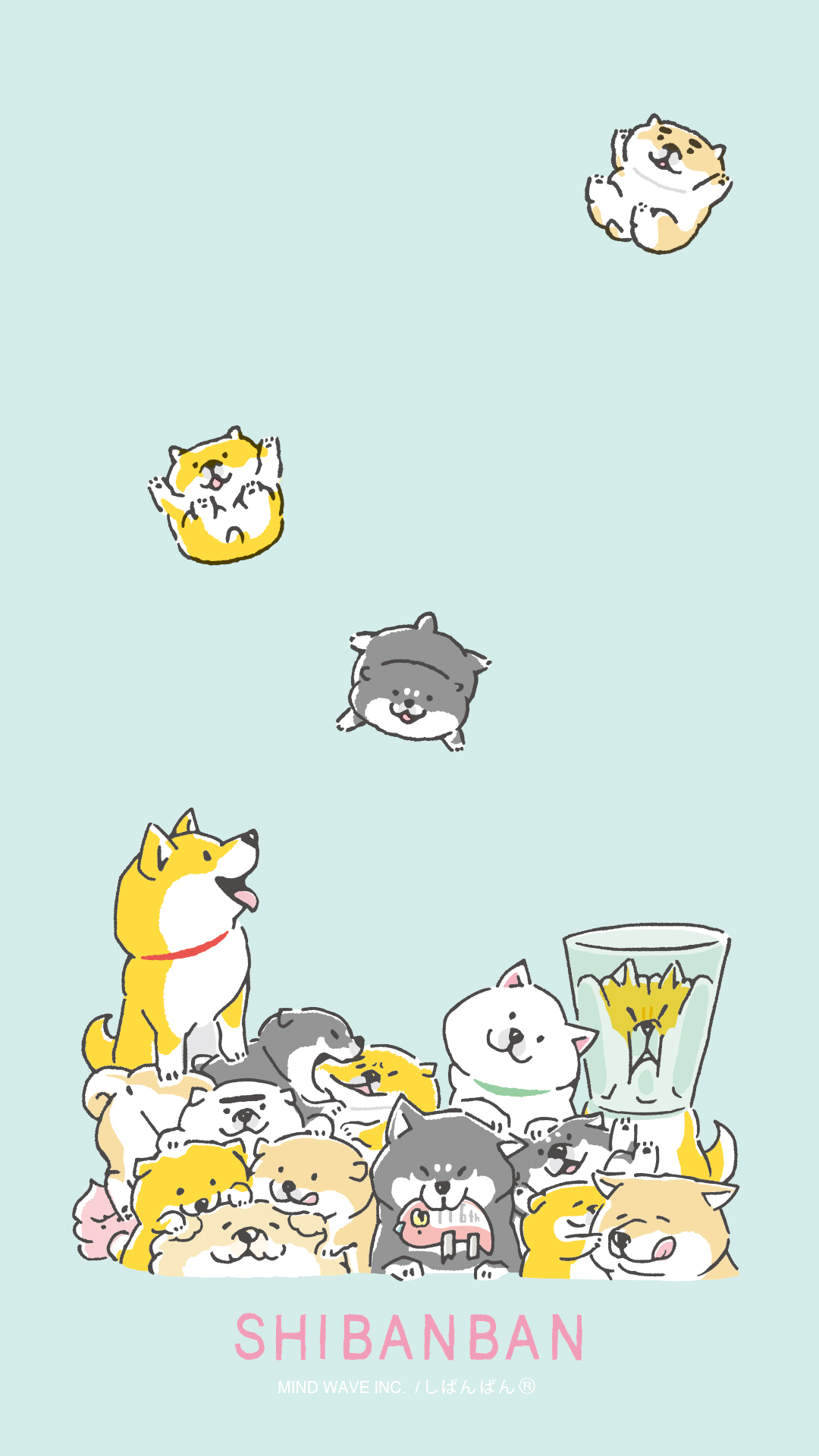 Twitter 上的 しばんばん 公式 これからも しばんばん をよろしくです ฅ ᴥ ฅ ᐡ ᴥ ᐡ むちころばんばん し ばんばん6th オオゴシヤステル 柴犬 T Co Ivjtdkrb0l Twitter