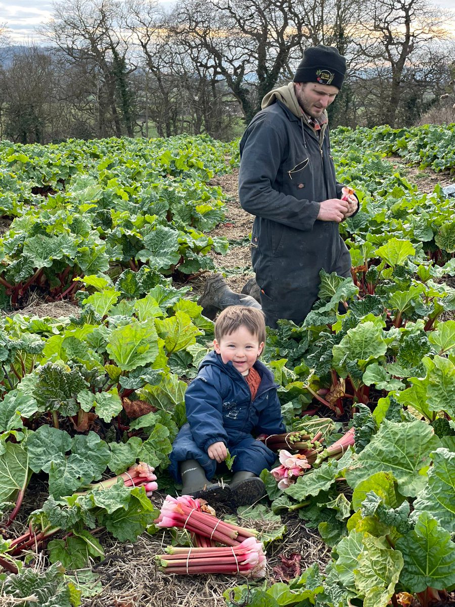 AT THE MARKET ON SATURDAY...
<a href="/Styanfamproduce/">Styan Family Produce</a> will have the first of the season tomatoes, rhubarb and purple sprouting broccoli. The Greengrossers also have rhubarb.
#lovincotswolds #cotswoldfoodie
@PlunkettFoundat <a href="/Wassup_Oxford/">Wassup Oxfordshire</a>