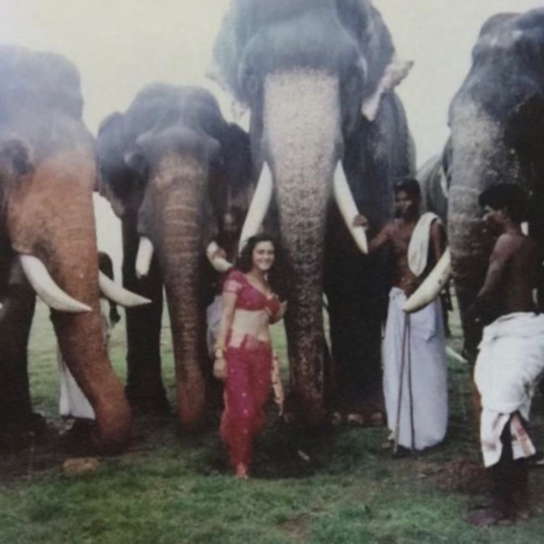 realpreityzinta's tweet photo. Look what I found ! This was shot on location in Kerala for Dil Se ❤️ My first film shoot.  I was thrilled to be surrounded by so many elephants.  #Jiyajale #DilSe #throwbackthursday #ting https://t.co/ncsmjgndi5
