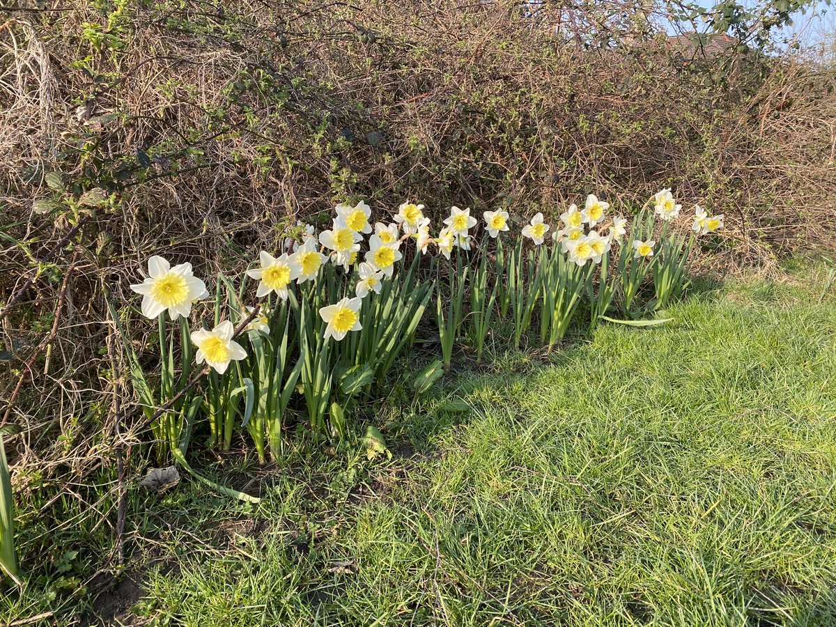 Love Heaton Chapel tweet media