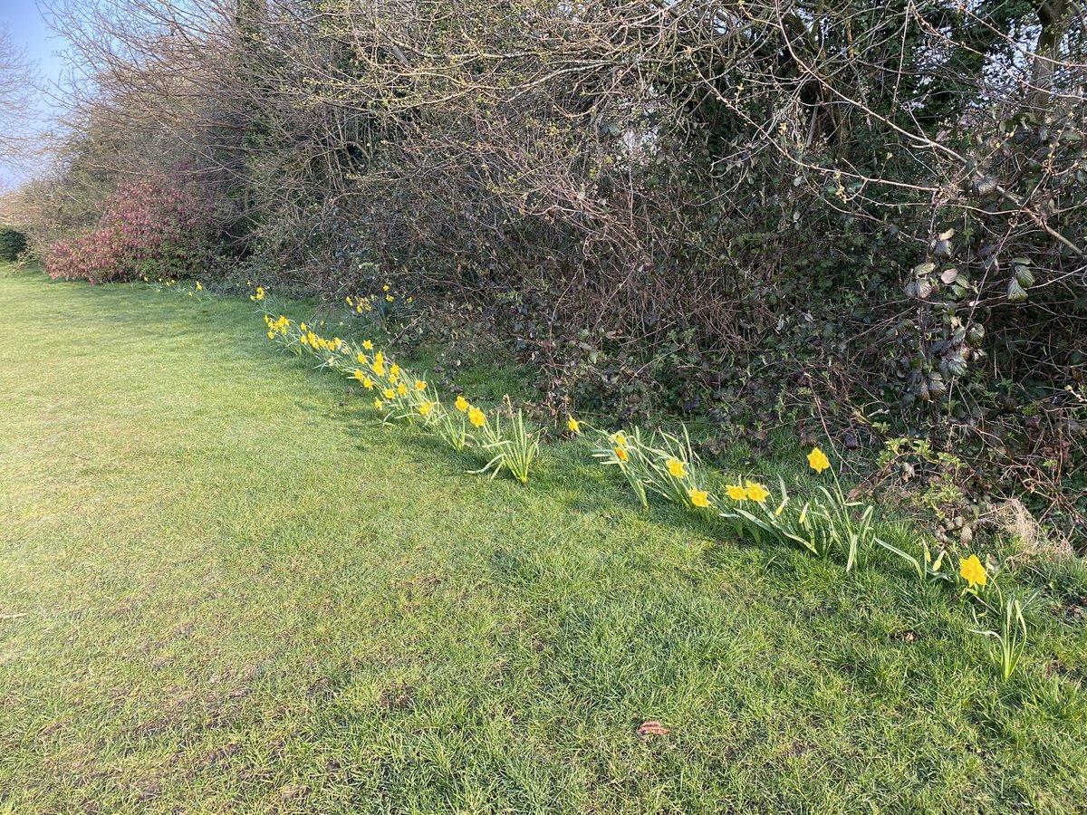 Love Heaton Chapel tweet media