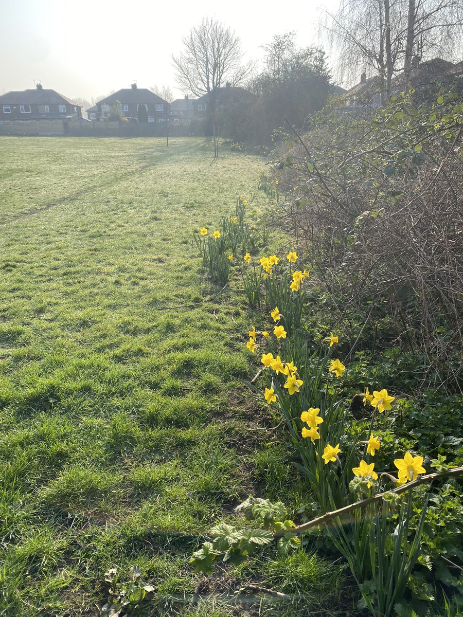 Love Heaton Chapel tweet media