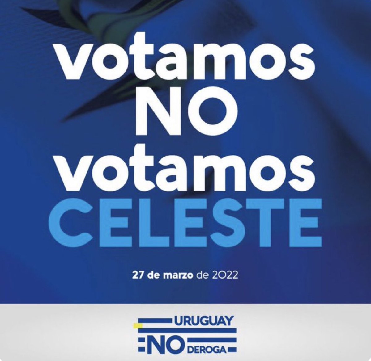 Pedro Bordaberry (@pedrobordaberry) on Twitter photo 