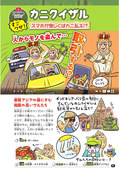 盗んだ物を"身代金"のように利用して、人間と"取引"するしたたかなサル「カニクイザル」の図解です( #ゆかいないきもの超図鑑 より公開)。 人間にとってその物品がどれだけの価値をもつのか、かなり正確に判断できるのは高い洞察力を持つあかし。人がサルを見るとき、サルもまた人を見ているのだ…! 
