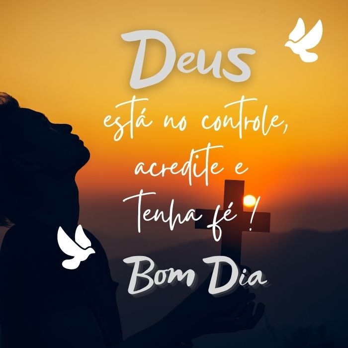 EricoRocha10's tweet photo. https://t.co/fXD9jQlumc