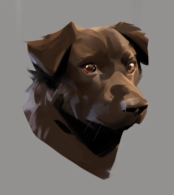 #NationalPuppyDay 