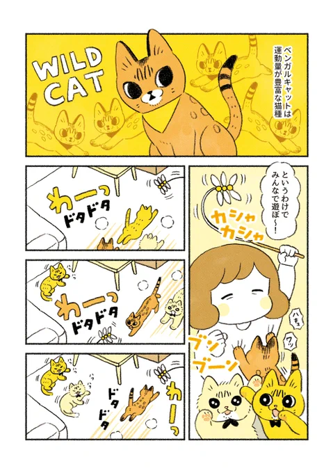 暴れ猫ももちゃん 