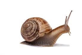 siputpunk's tweet photo. Web2 us vs Web3 us

🐌💨

Share yours too! https://t.co/NDC9ymYEOD