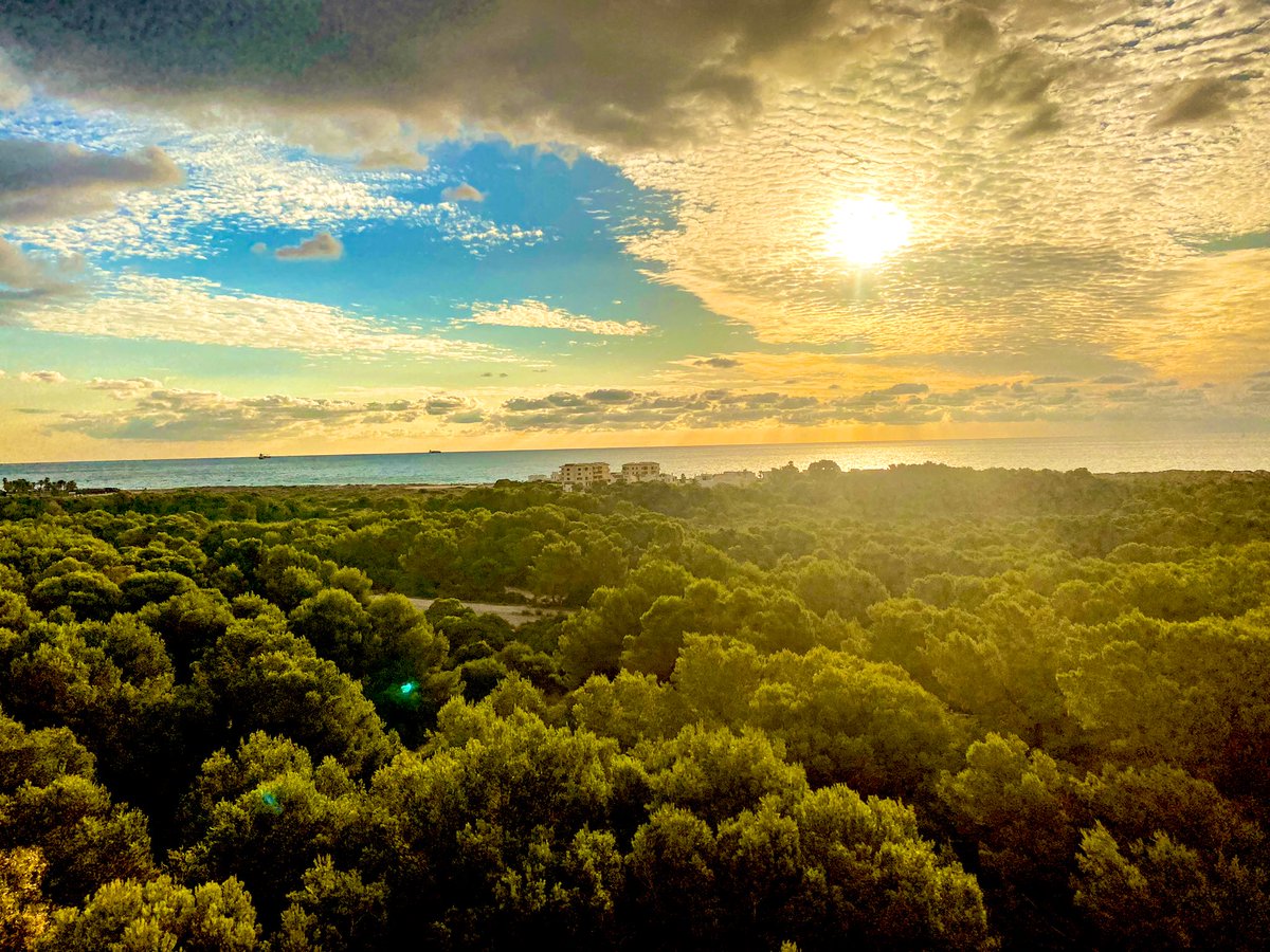 CarrascosaCris_'s tweet photo. Buenos días! Por fin llega la fibra hasta el Paraíso 🤭 a ver quién nos saca de aquí ahora 🤗 https://t.co/g95bsjrFAa