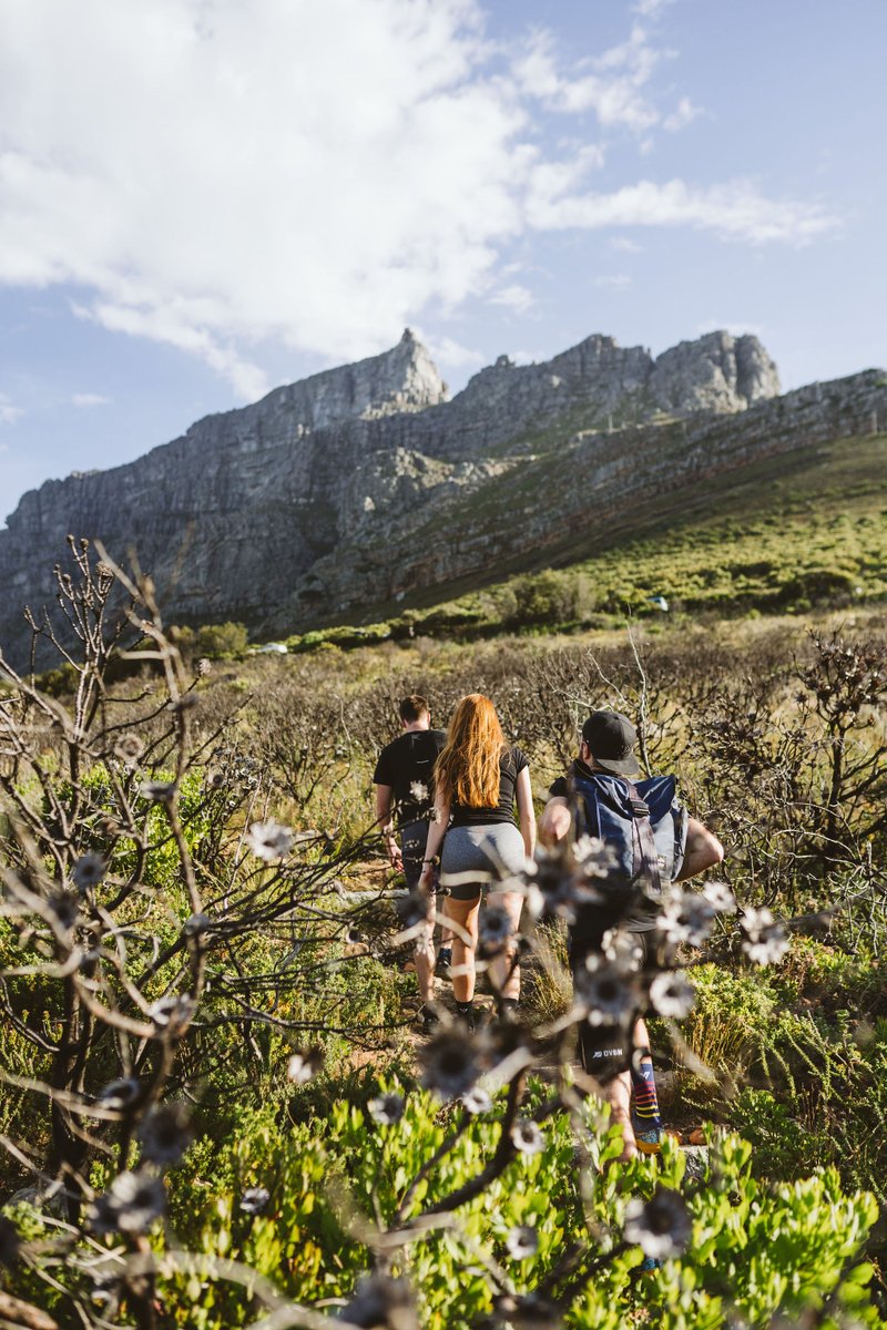 #IntotheMountains #AlcFree Juicy IPA –  celebrating the adventurous spirit, this #JuicyIPA packs a flavour punch for a #AFbeer &amp; in our view, the perfect accompaniment for an active day. #LimitedRelease, available online while stocks last. Shop Online -  bit.ly/3xnXvNp