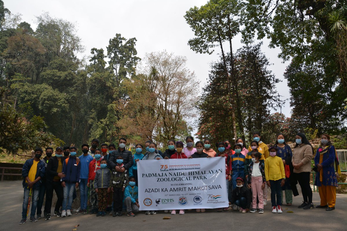 PnhzPark's tweet photo. The park celebrated the 4th Day of Azadi Ka Amrit Mahotsava by inviting a group of children from the local orphanage to visit the zoo followed by an interactive session.
#pnhzp #Darjeeling #redpanda #75years75species75zoos #AzadiKaAmritMahotsav
@CZA_Delhi https://t.co/SjVtVNVdfr