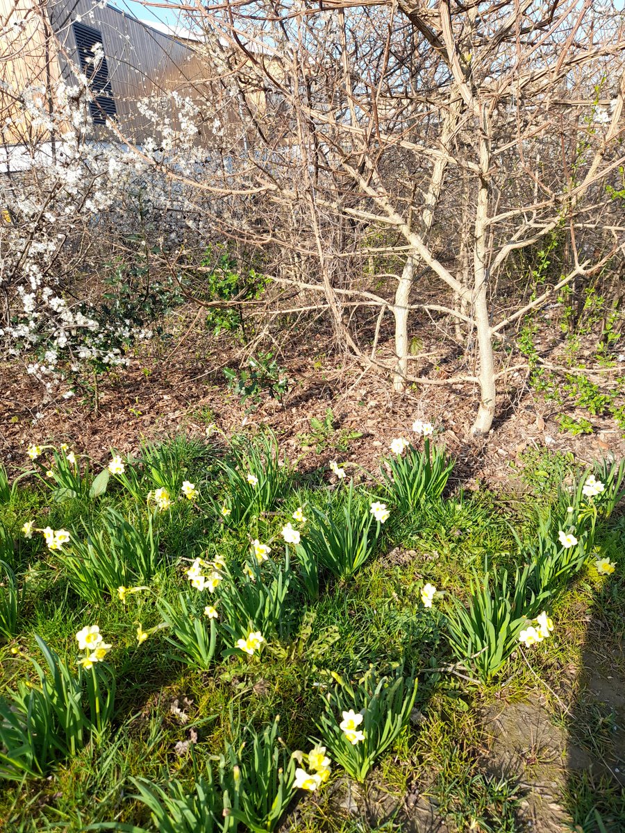 Donna Talbot tweet media