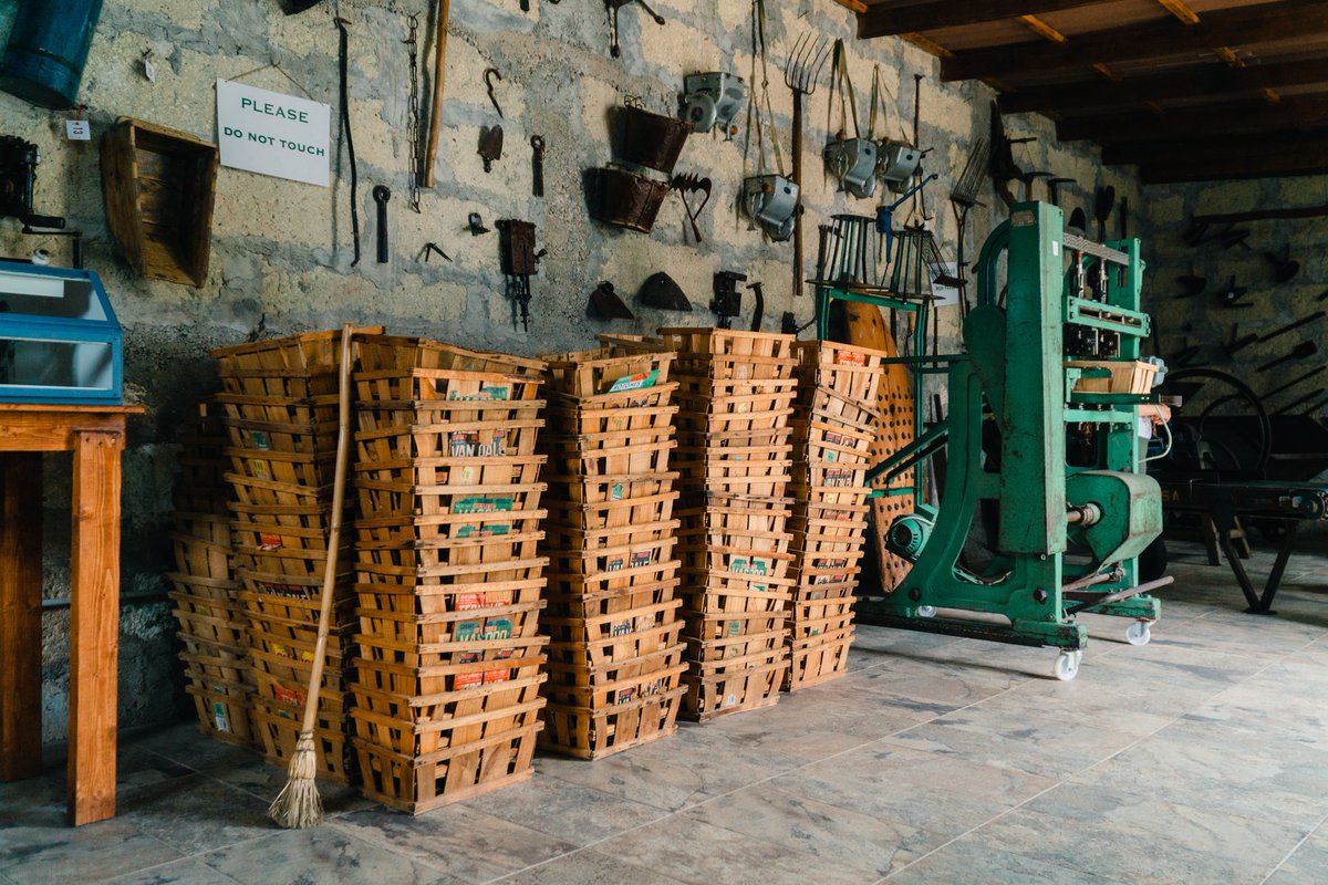 hvmansocial's tweet photo. A bit of history at Casa Fuerte in Adeje 📜🏛
Worth the visit 📸
#sustainabletourism @CanIslandsGreen https://t.co/V2B1XxKdXx