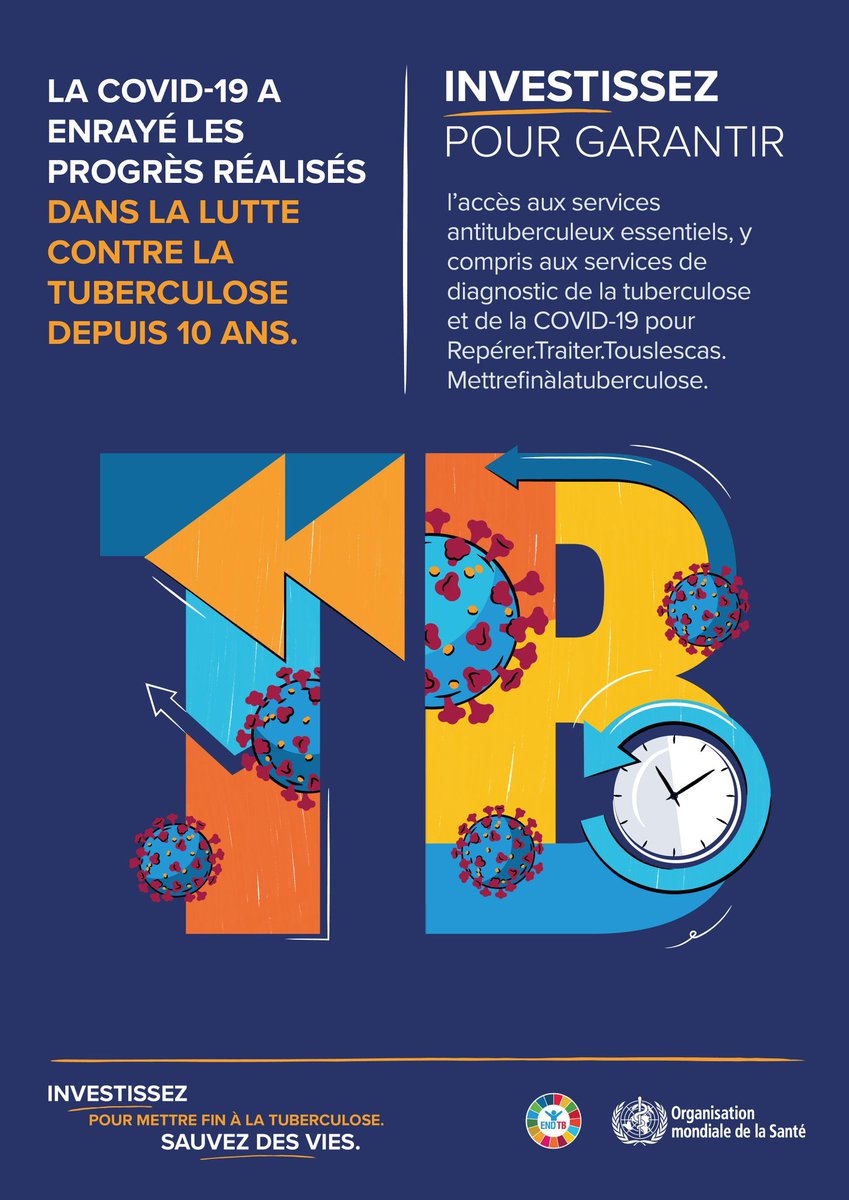 OMS_GABON's tweet photo. C'est la Journée mondiale de lutte contre la #tuberculose.
La #COVID19 remet en cause les précieux progrès réalisés depuis des années. 
Il est temps d'intensifier la riposte à la tuberculose !
Investissons pour en finir avec la tuberculose.

#WorldTBDay https://t.co/Ga0rKlrA1A