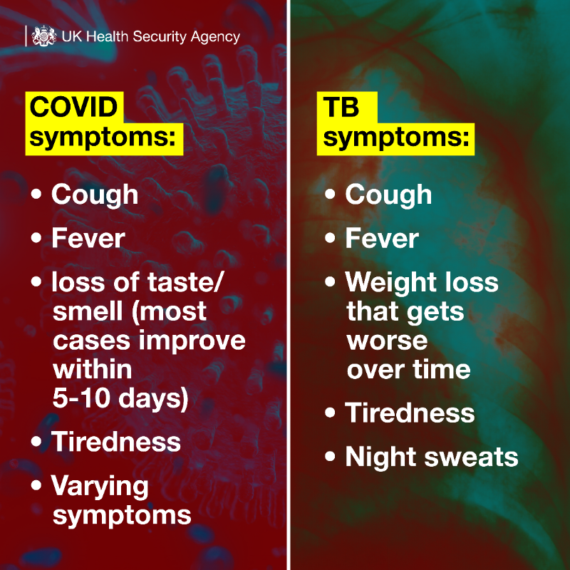 UKHSA's tweet photo. Today is #WorldTBDay, and we're reminding people of the symptoms of TB. 
TB mainly affects the lungs, but can affect any part of the body, including lymph nodes, bones and the brain. 

Find out more about the work we're doing to drive down TB cases in our latest blog 👇