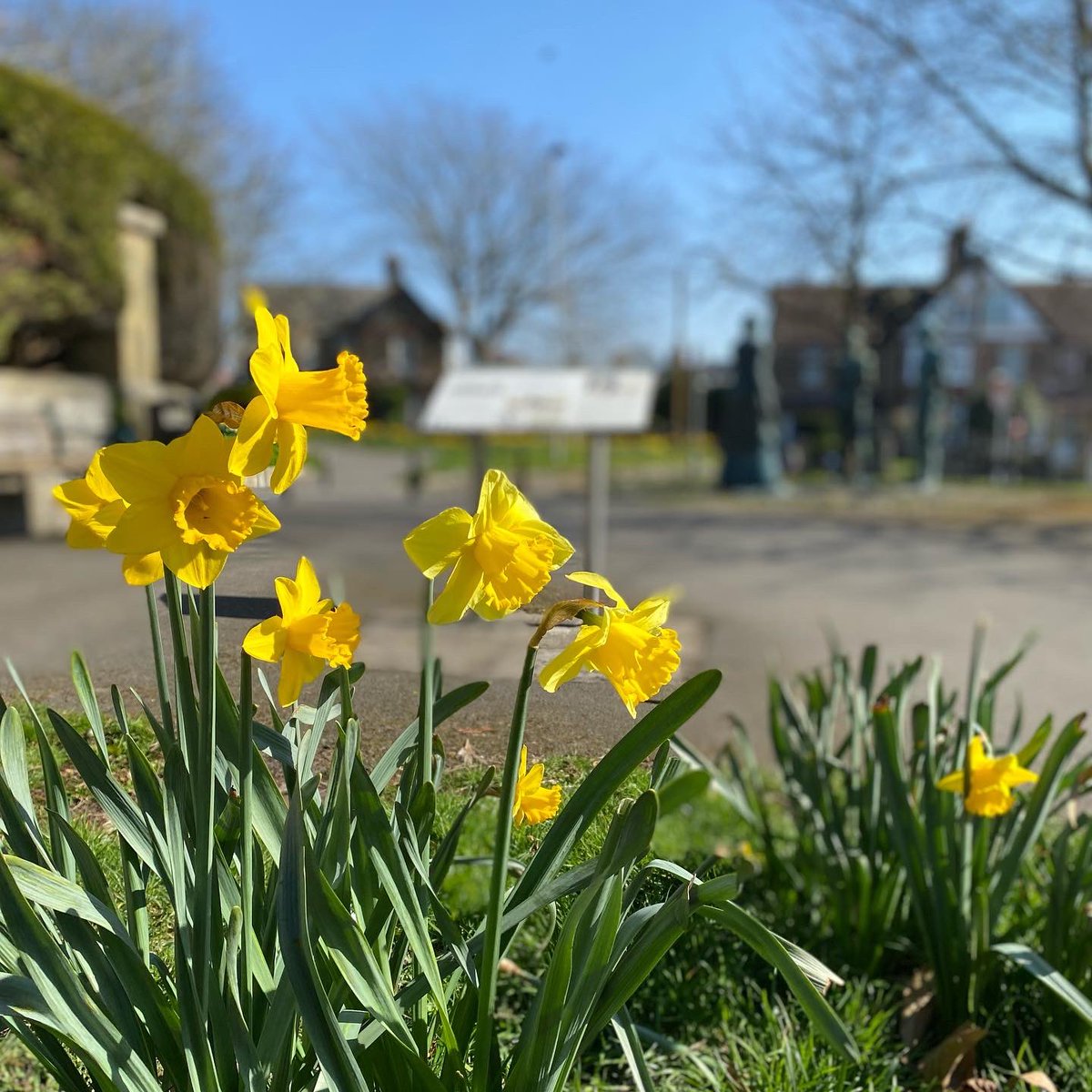 DorchesterBID's tweet photo. Spring is here! πΌ The Walks and Borough Gardens in Dorchester beautiful as always βοΈ #DiscoverDorchester #SpringintoDorchester https://t.co/0ybaW4HGwF