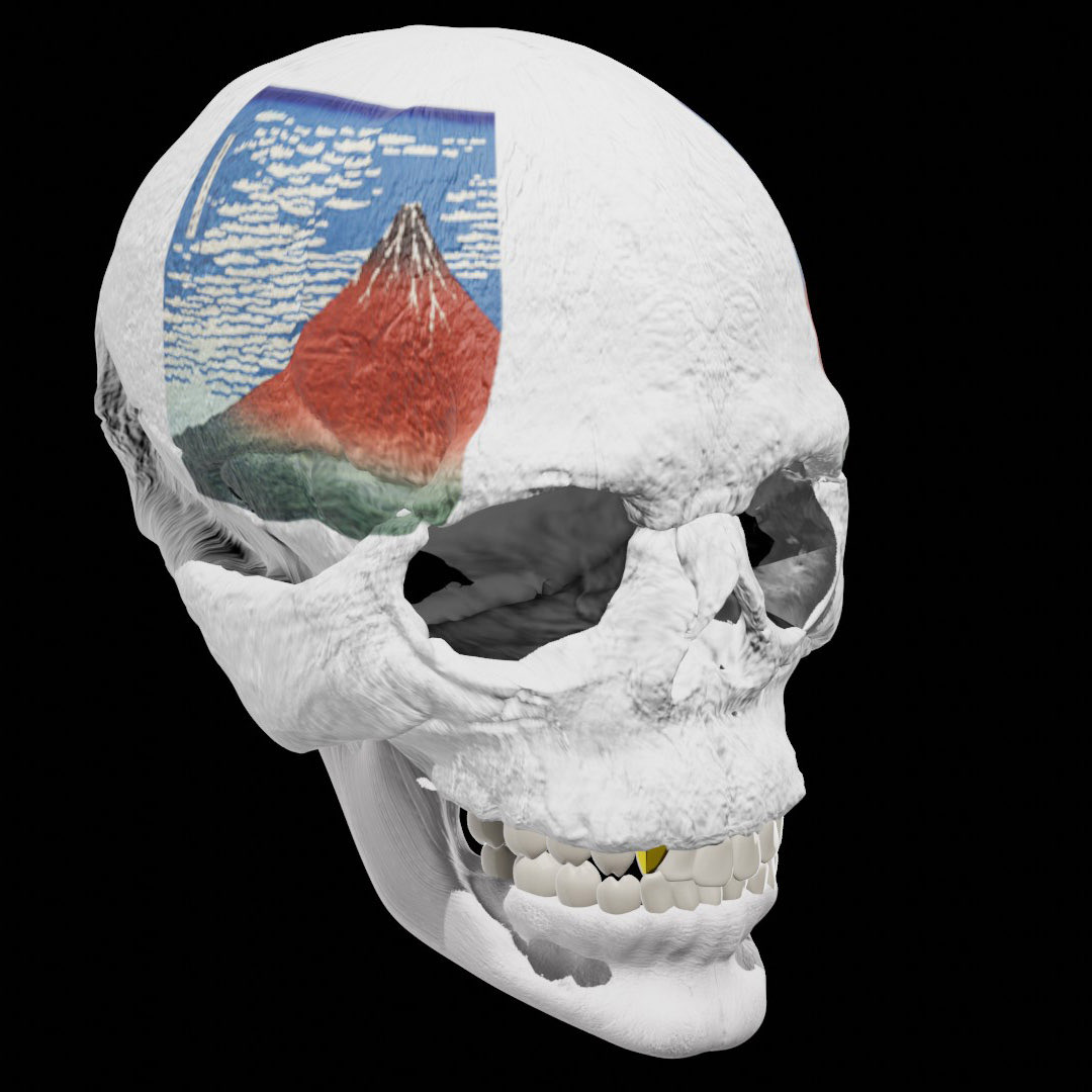 富嶽三十六景🗻　〇/46
Ukiyo-e skull made for profile picture.
opensea.io/assets/0x495f9…