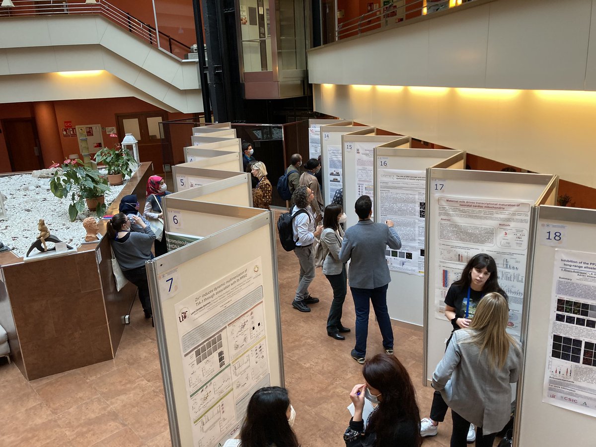 crossmitonus's tweet photo. Today is the second Poster party sesión! #CrossMitoNus https://t.co/l9jbkrpeVL