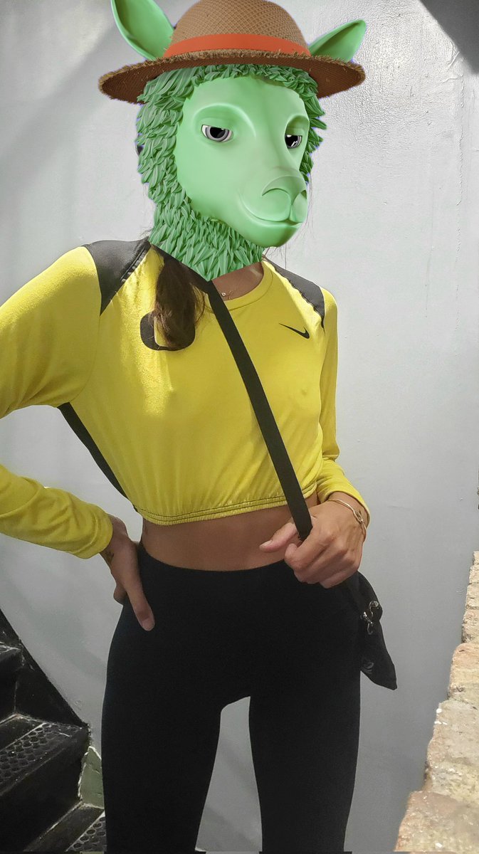 FinleyNFT's tweet image. @LazyLlamasCNFT