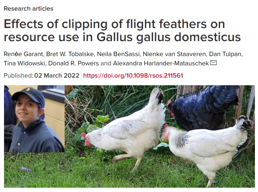 Campbell Centre for the Study of Animal Welfare tweet media