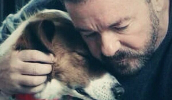 SueTaylor_'s tweet image. “If you don’t have empathy with animals, then you don’t have empathy at all.” @RickyGervais 🐾❤️