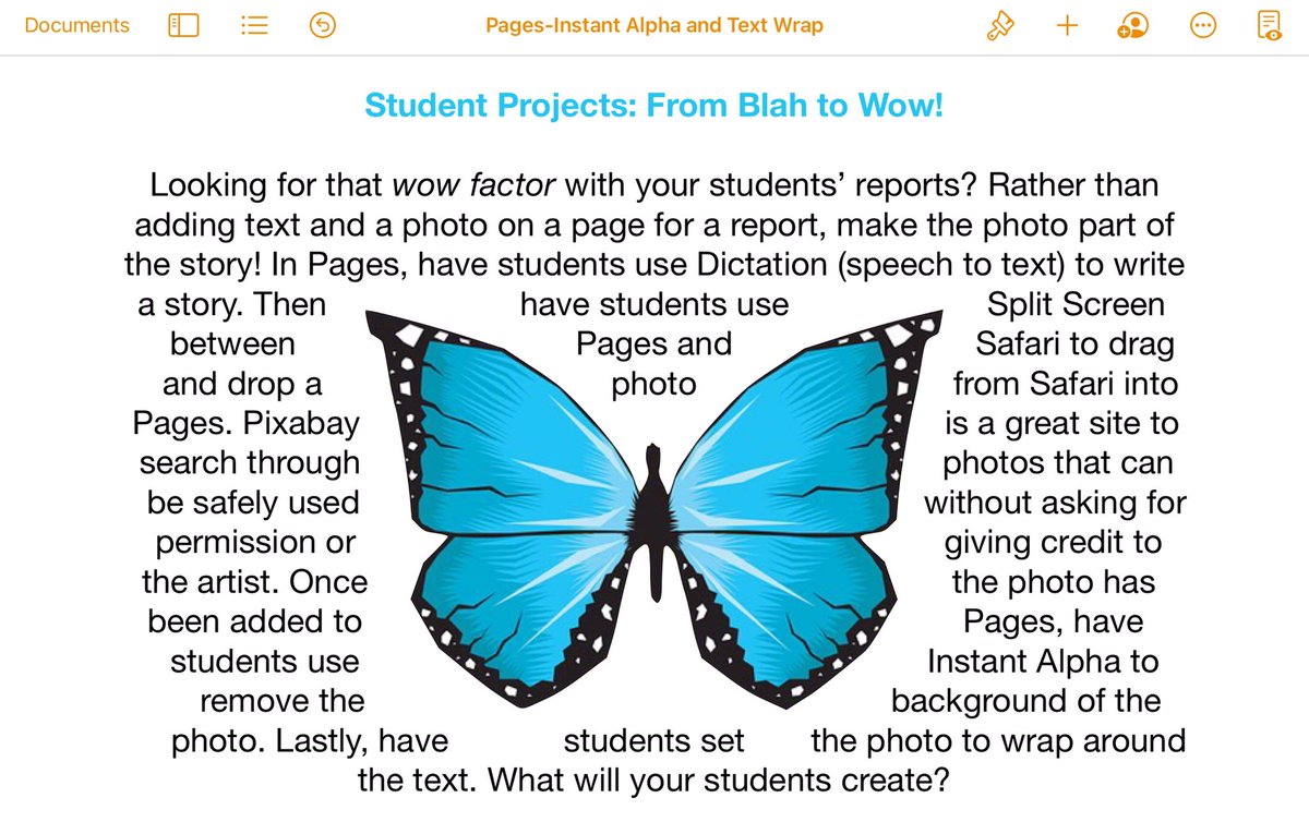 Christy Franck tweet media